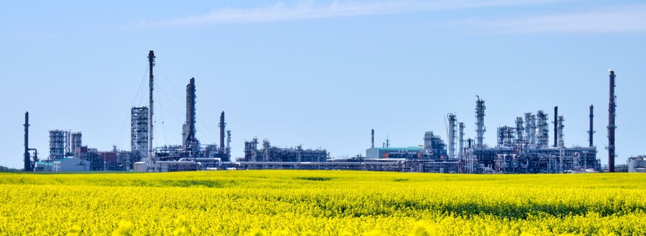 Skyline view of a factory with a yellow field in the foreground.